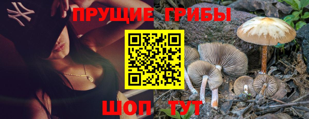 Конаково  Псилоцибиновые грибы Magic Shrooms  цена наркотик  Вход с VPN 